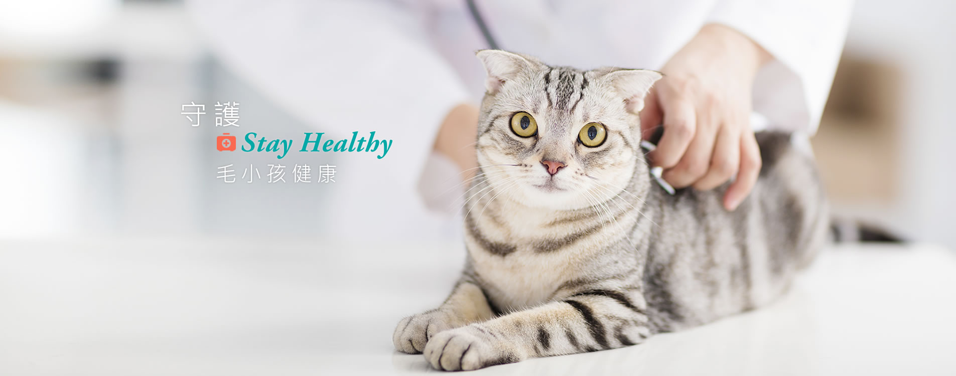 banner.jpg banner.jpg